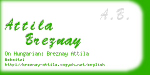 attila breznay business card